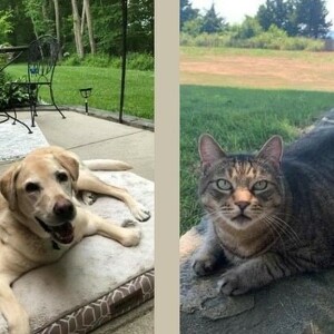 Fundraising Page: Jenny Reese